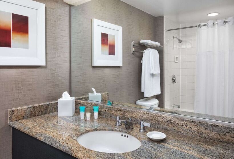 Pokój Standard 2 Łóżka Małżeńskie, Hyatt Centric Chicago Ohare