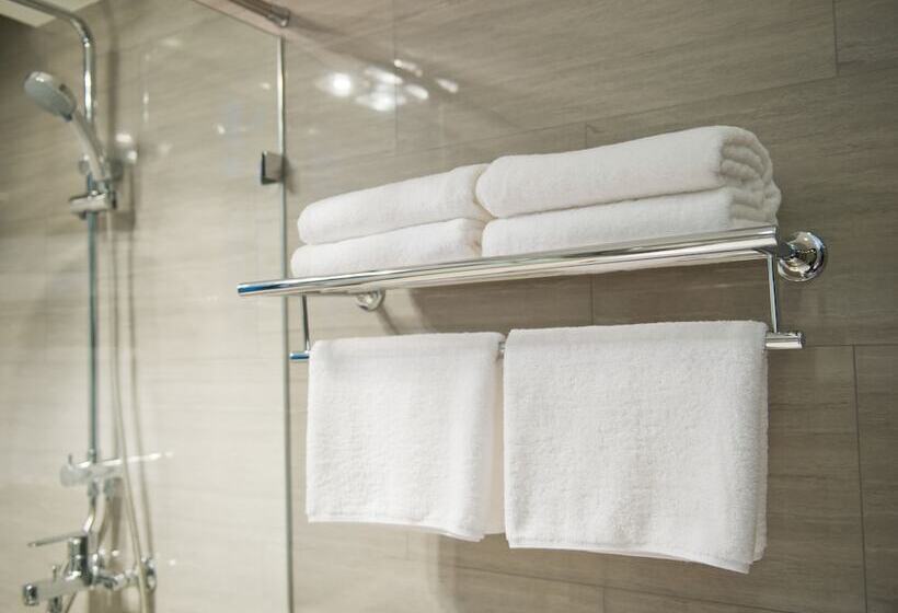 Pokój Standard 2 Łóżka Małżeńskie, Hyatt Centric Chicago Ohare