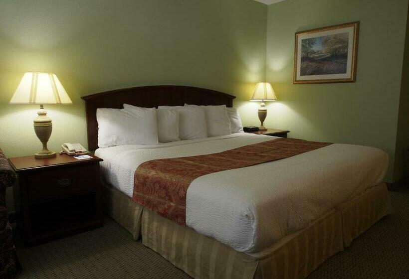 带大床的标准间, Inn At The Waterpark