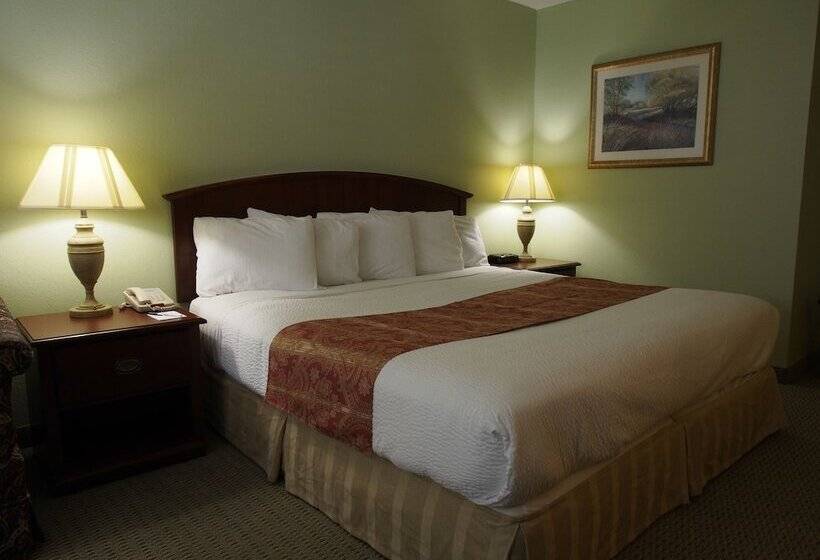 带大床的标准间, Inn At The Waterpark