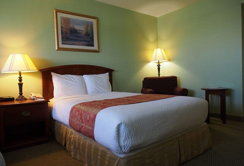 带大床的标准间, Inn At The Waterpark