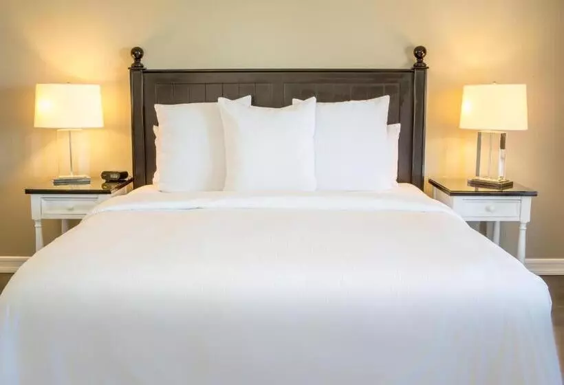 اتاق لوکس با تخت بزرگ, Metropole