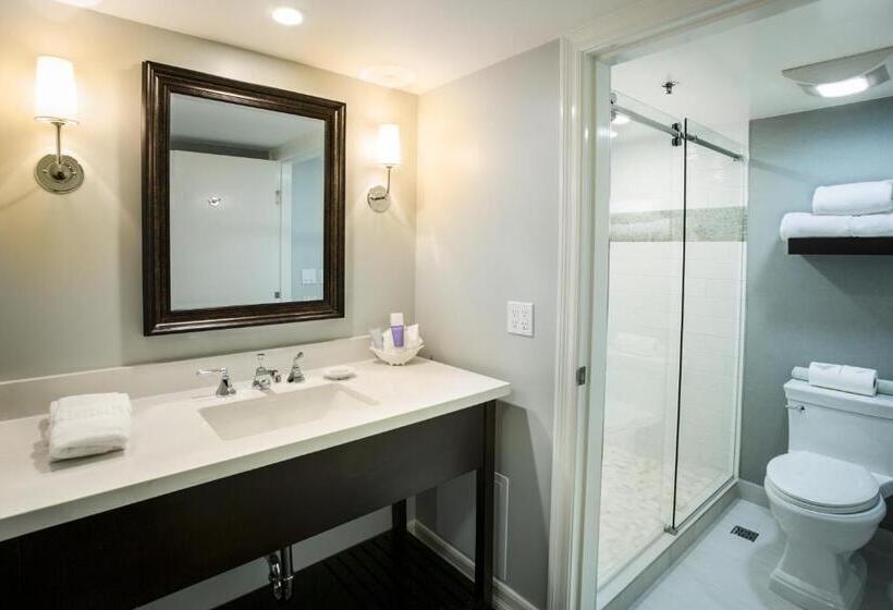 キングサイズベッドのデラックスルーム, Metropole