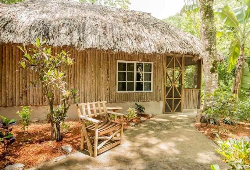 اتاق استاندارد, Falling Leaves Lodge