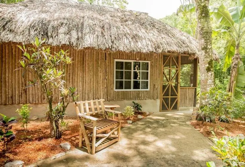 اتاق استاندارد, Falling Leaves Lodge