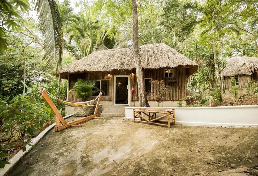 סוויטת סופריור, Falling Leaves Lodge