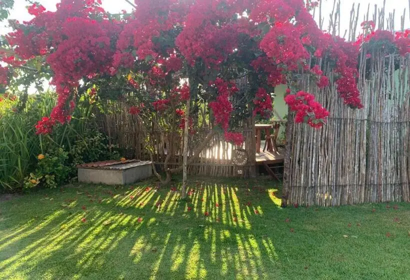 プール付き１ベッドルームヴィラ, Vila Do Coco   Milagres Al