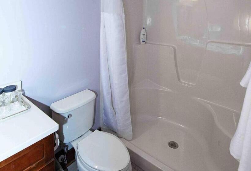 جناح, Purple Skies Homestead