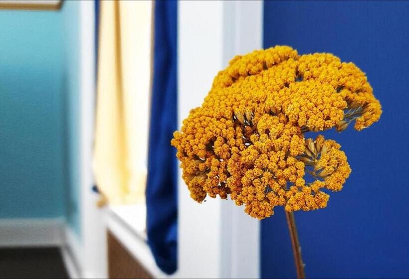 Номер Deluxe, Little Robin Bed And Breakfast