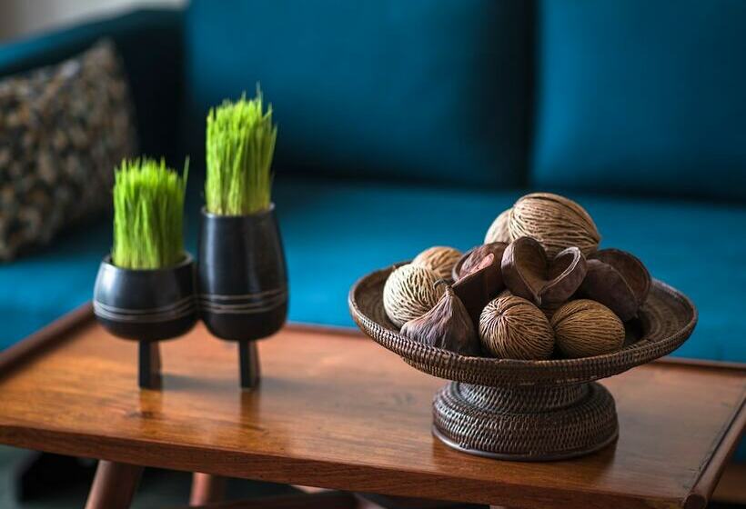 اتاق لوکس با چشم‌انداز شهر, Viroth's