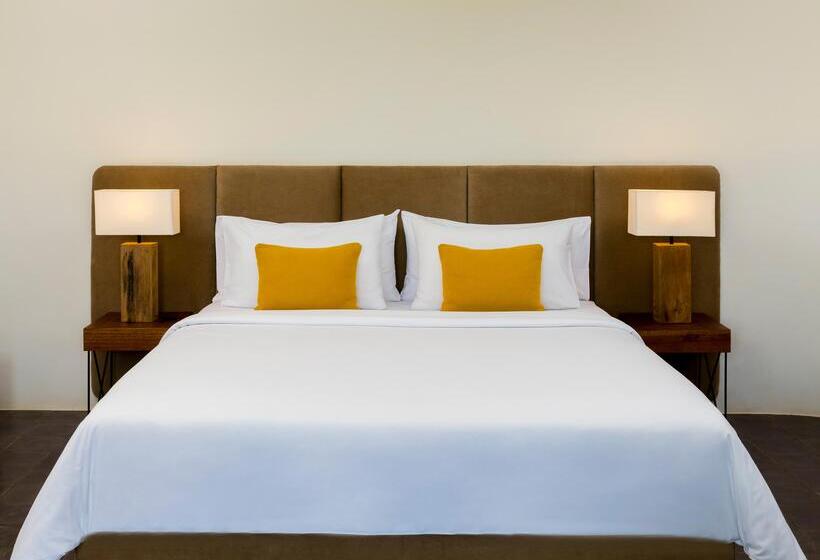 اتاق لوکس با چشم‌انداز استخر, Viroth's