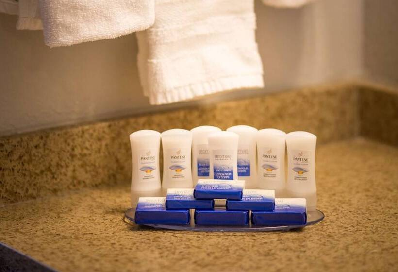 جناح جونيور, Best Western Black Hills Lodge