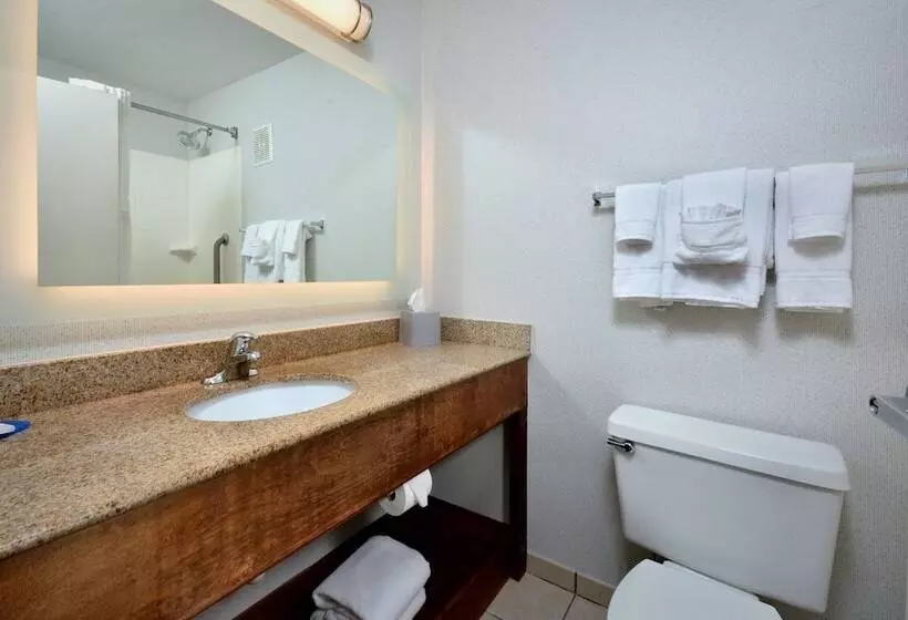 اتاق استاندارد, Holiday Inn Express Lynchburg, An Ihg