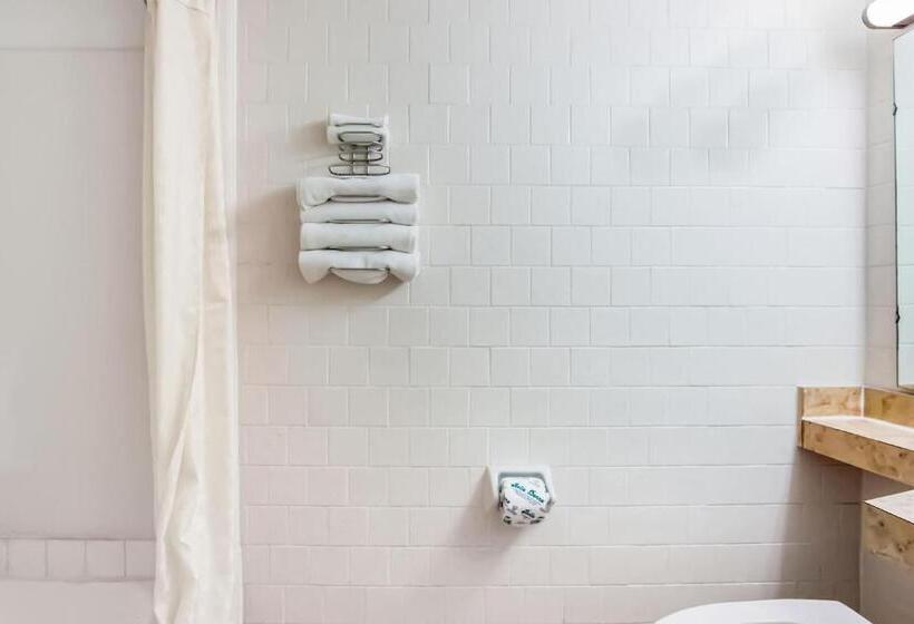 Standard Room, Kings Inn Scottish Inn Alice