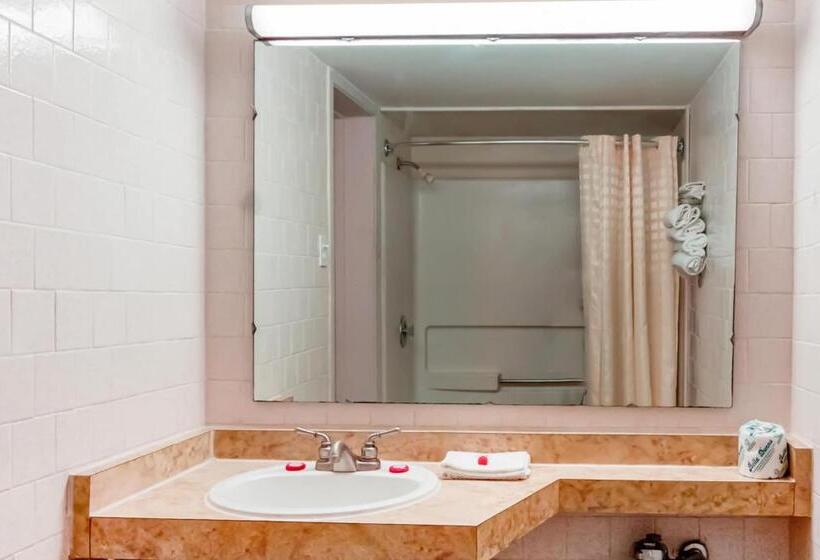 Standard Room, Kings Inn Scottish Inn Alice