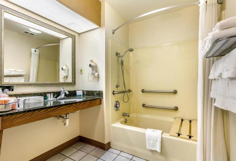 غرفه قياسيه سريرين مزدوجين, Quality Inn Johnson City I 26 Exit 17