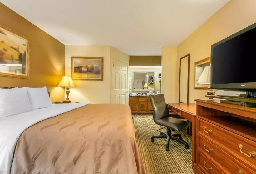 キングサイズベッドのスタンダードルーム, Quality Inn Johnson City I 26 Exit 17