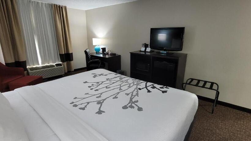 キングサイズベッドのスタンダードルーム, Sleep Inn & Suites