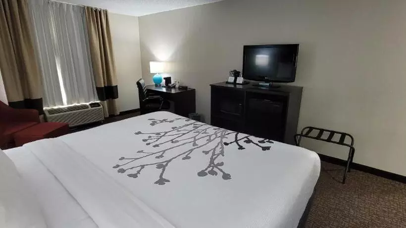 キングサイズベッドのスタンダードルーム, Sleep Inn & Suites