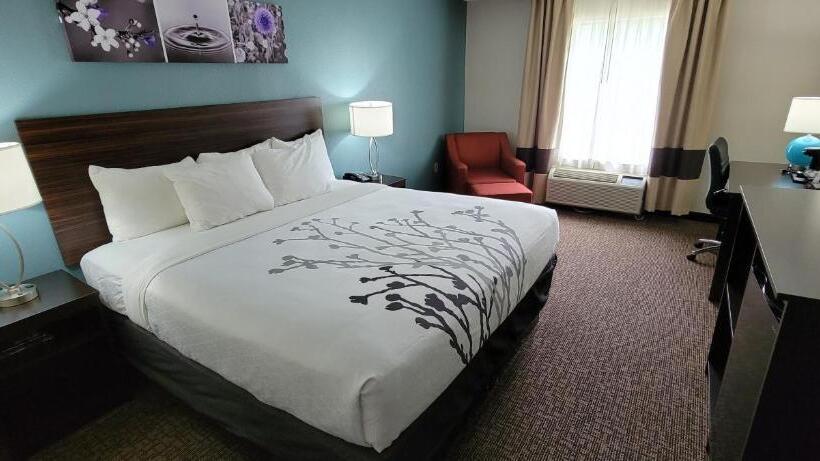 キングサイズベッドのスタンダードルーム, Sleep Inn & Suites
