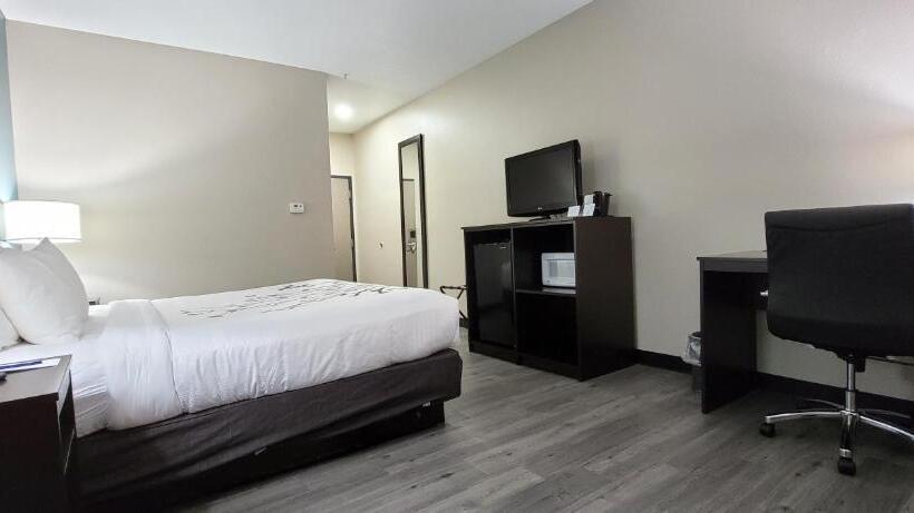 스탠다드 룸 킹사이즈 침대, Sleep Inn & Suites