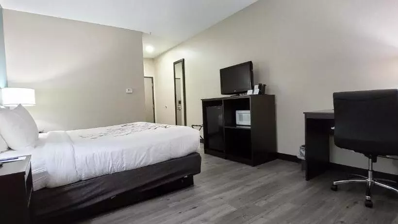 キングサイズベッドのスタンダードルーム, Sleep Inn & Suites
