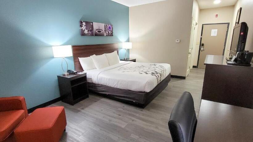 キングサイズベッドのスタンダードルーム, Sleep Inn & Suites