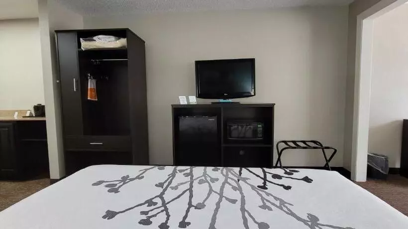 キングサイズベッドのスイートルーム, Sleep Inn & Suites
