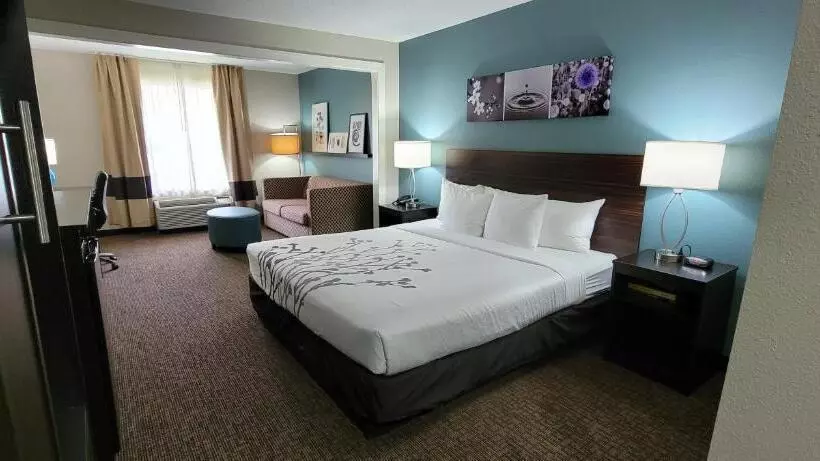 キングサイズベッドのスイートルーム, Sleep Inn & Suites