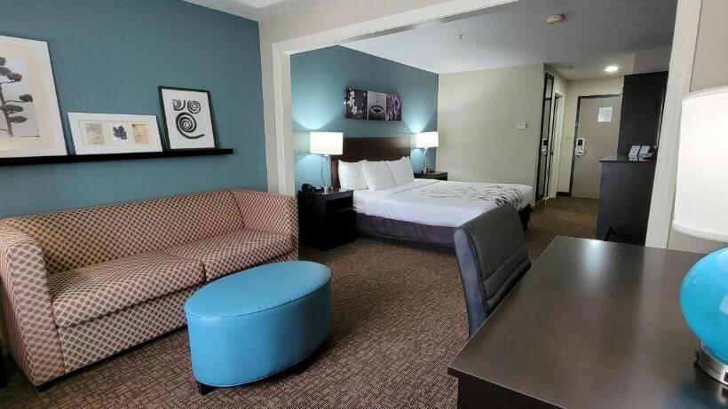 キングサイズベッドのスイートルーム, Sleep Inn & Suites