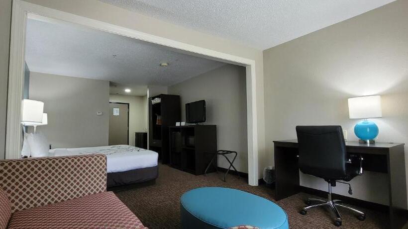 キングサイズベッドのスイートルーム, Sleep Inn & Suites