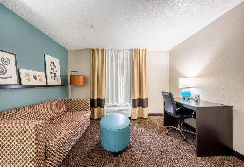 キングサイズベッドのスイートルーム, Sleep Inn & Suites