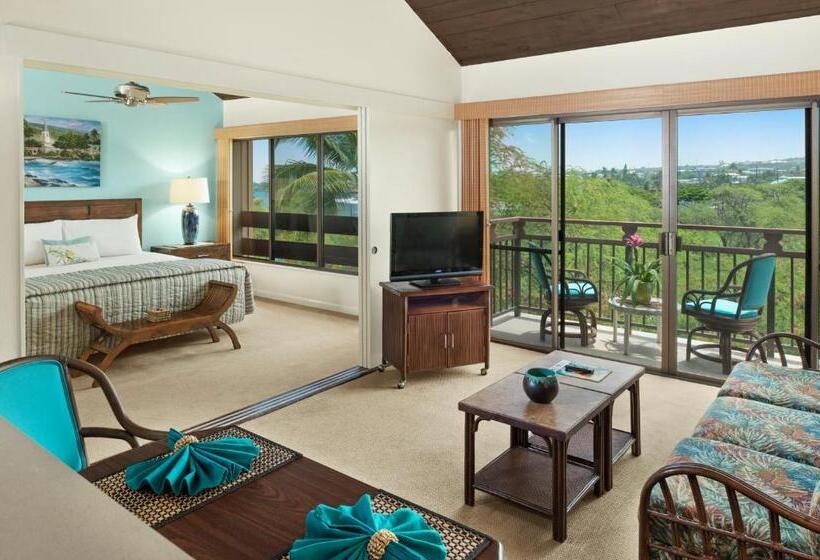 דירת חדר, The Kona Billfisher