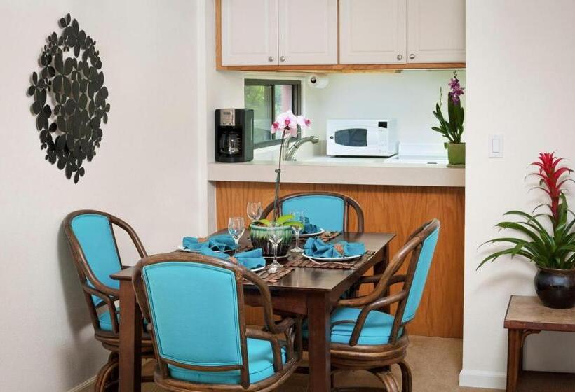 דירת שני חדרים, The Kona Billfisher