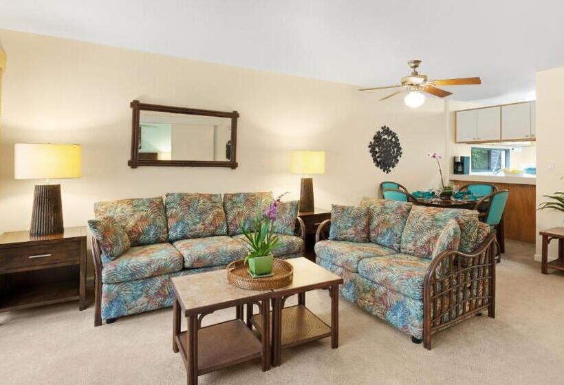 דירת שני חדרים, The Kona Billfisher