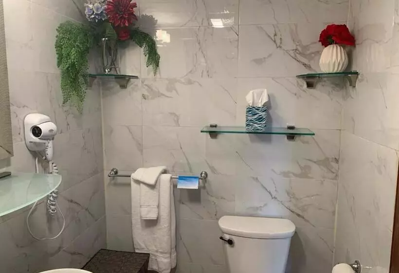 اتاق استاندارد با تخت بزرگ, Atlantic Coast Inn