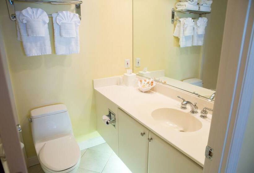 豪华工作室, Inn At The Beach