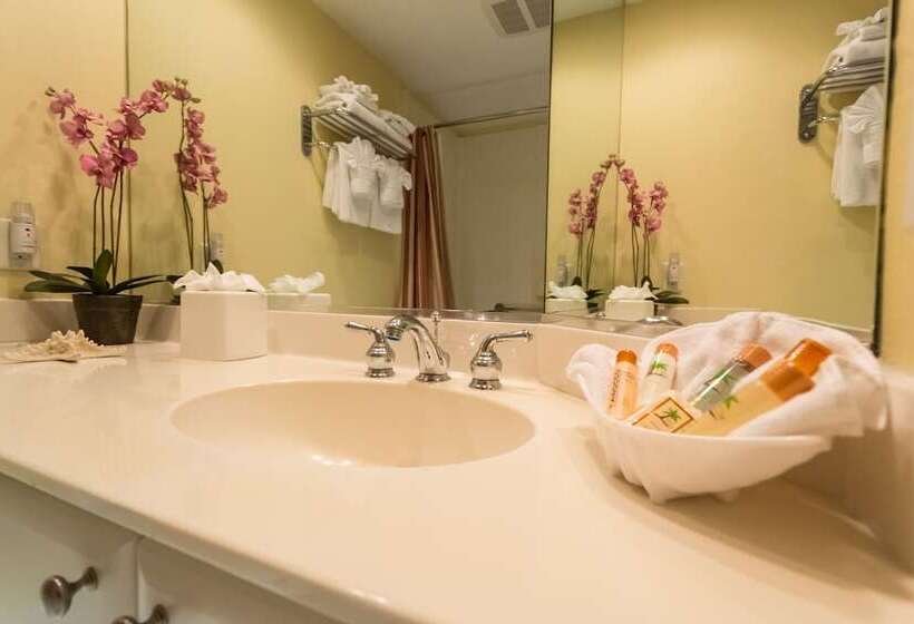 豪华工作室, Inn At The Beach