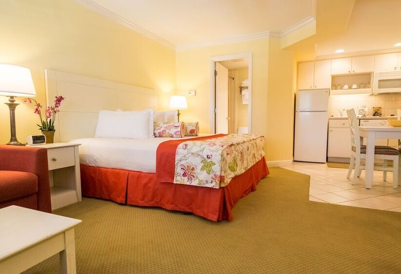 豪华工作室, Inn At The Beach