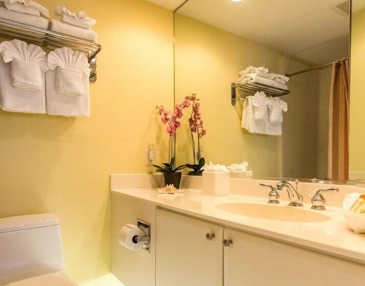 豪华工作室, Inn At The Beach