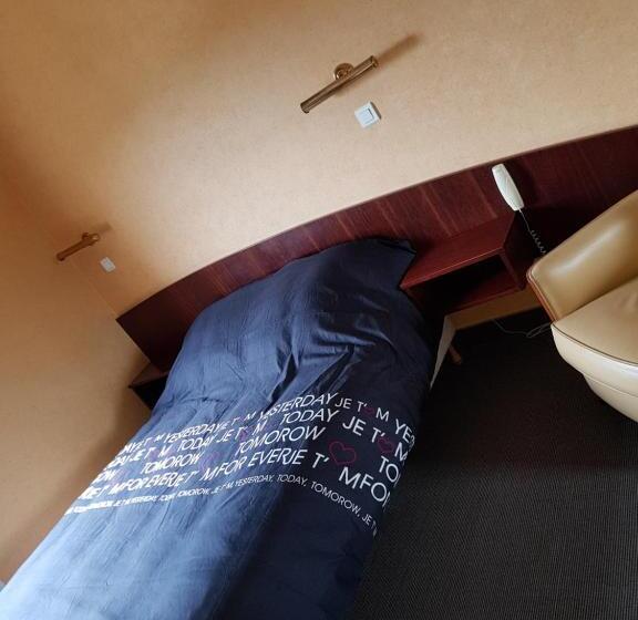 غرفة قياسية مطلة على الجبل, Hôtel Du Parc