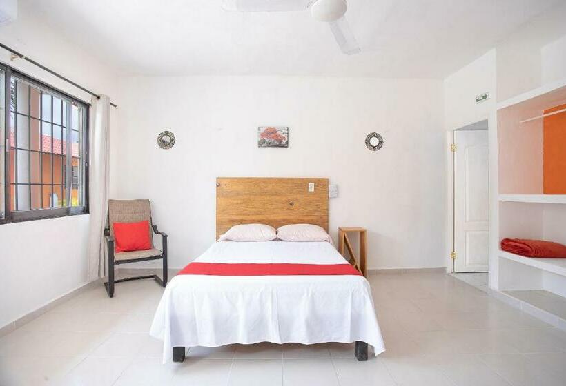 标准间, Casa Ariana