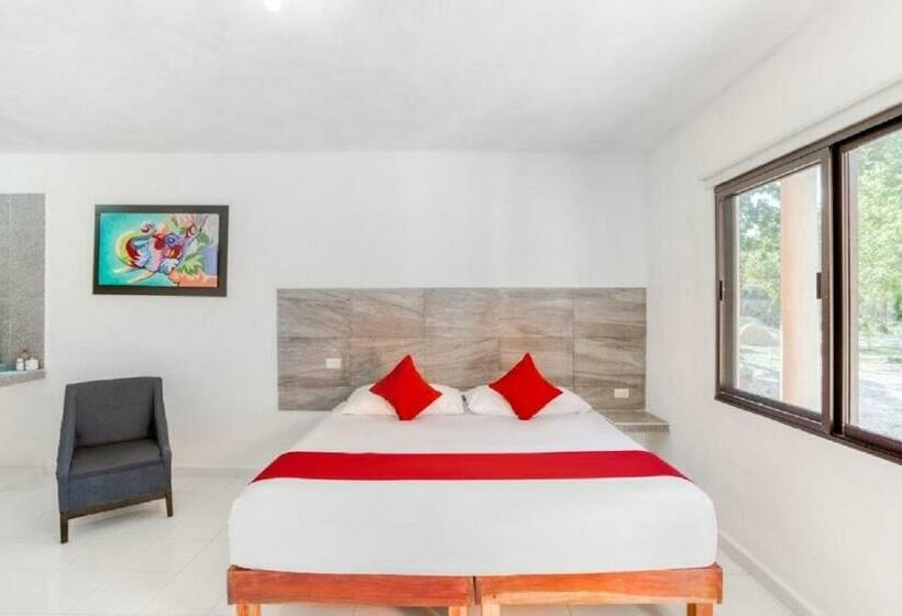 豪华房间, Casa Ariana