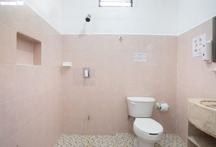 豪华房间, Casa Ariana