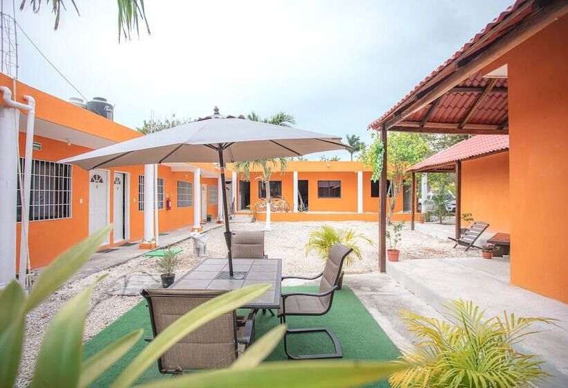 豪华房间, Casa Ariana