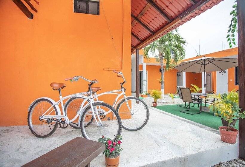 اتاق لوکس, Casa Ariana