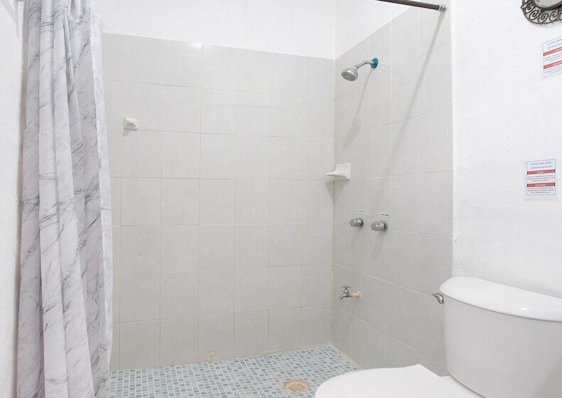 标准间, Casa Ariana