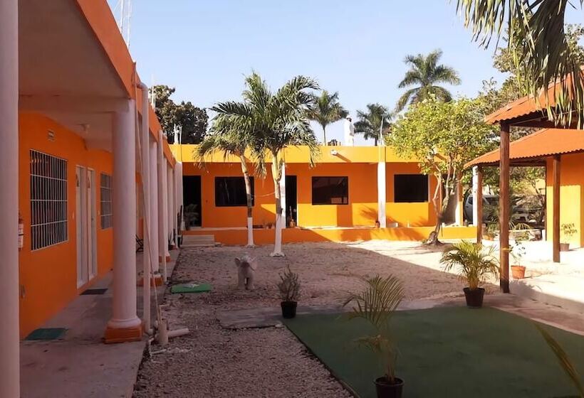 اتاق استاندارد, Casa Ariana