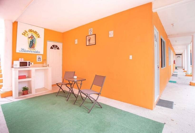 标准间, Casa Ariana