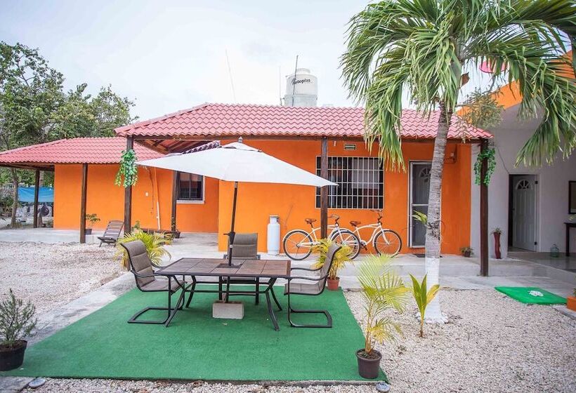 标准间, Casa Ariana